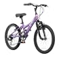Diamondback Tess 20 Jr Girls' Mountain Bike (20-Inch Wheels)