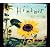 向日葵-Himawari-