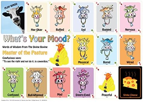 Bingo Mood Playing Cards