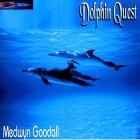 Dolphin Quest