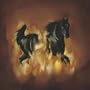 Besnard Lakes Are the Dark Horse