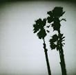 The Twilight Singers Play Blackberry Belle