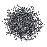 POPPY SEED, 10 lbs.