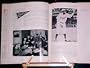 Big Apple Baseball: An Illustrated History from the Boroughs to the Ballparks