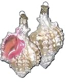 Mexican Seashell Ornament