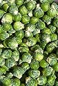 Heirloom Brussel Sprouts Catskill Long Island Improved Seeds 225 Seeds