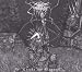 Darkthrone-Circle the Wagons