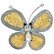Jumbo Two Tone Studded Butterfly Brooch