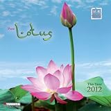 Produkt-Bild: Lotus and Nympheas 2012. Mindful Edition