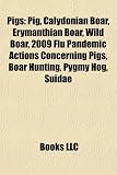 Pigs: Pig, Calydonian Boar, Erymanthian Boar, Wild Boar, 2009 Flu Pandemic Actions Concerning Pigs, Boar Hunting, Pygmy Hog, Suidae
