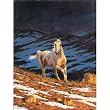 Chris Cummings Stallion - Approaching Storm Jigsaw Puzzle 500pc