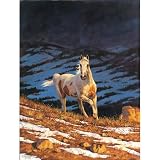Chris Cummings Stallion - Approaching Storm Jigsaw Puzzle 500pc