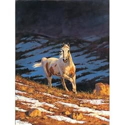 Chris Cummings Stallion - Approaching Storm Jigsaw Puzzle 500pc