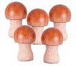 Set of Five Mushrooms