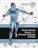 Functional atlas of the human fascial system