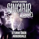 Image de Sturm über Arbordale (Sinclair Academy 4)