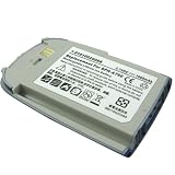 Lenmar CLSG291 Cell Phone Li Ion Battery Replaces Samsung BEX291HSA and BEX291HKA