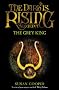The Grey King (The Dark Is Rising)