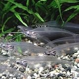 ���i�̏ڍ�