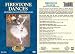 DVD : Firestone Dances: Historic Ballet Performances