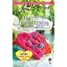 A Heart for the Dropped Stitches (Sisterhood Series #3) (Love Inspired #451)