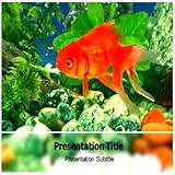 Aquarium Powerpoint Template - Aquarium Powerpoint (PPT) Backgrounds