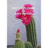 Cactus Flower