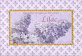 Saponificio Artigianale Fiorentino Lilac Soap Set From Italy