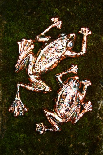 Cosmic Creatures - Tree Frog - 2 set - Copper Speckle