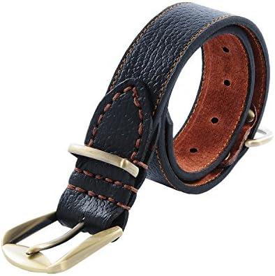 SPAZI Black Padded Leather Dog Collar - Genuine Real Leather - For Male or Female Neck for 16"-20" Dog Breeds - By Soft Touch Collars