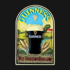 Guinness Resin Magnet Toucan Taste of Ireland