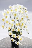 【送料無料】人工観葉植物・造花、綺麗なミニ胡蝶蘭5本立てコストゼロの空気清浄機