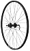 Avenir 32H Alloy QR Double Wall 29 Inch x 1.9 Inch 1spd Disc Brake Only Black/Black Wheel (Rear)