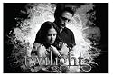 Twilight Pillowcase BTS "Ed & Bella"