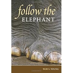 Follow the Elephant