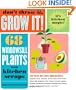 Don't Throw It, Grow It!: 68 windowsill plants from kitchen scraps
