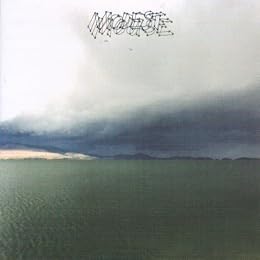 Modest Mouse Foto 11