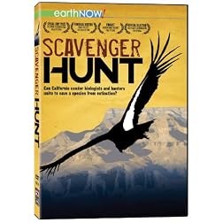 Scavenger Hunt