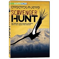 Scavenger Hunt