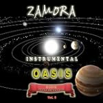 Instrumental Oasis, Vol. 9