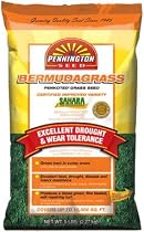 Pennington Seed #LP112270 5LB Sahara Bermuda Seed