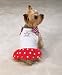 Dog Dress - Casual Canine Patriotic Pup Dress - X-Small (XS)