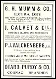 Fridge Magnet-Classic Champagne Advertising-7cm x 4.5cm-Set of 2