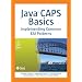Java CAPS Basics: Implementing Common EAI Patterns