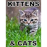 Kittens And Cats (An Easy Reader and Picture Book For Early Learning)