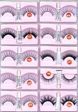 SHANY  False Eyelashes with Glue, 4-Ounce Box