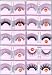 SHANY False Eyelashes with Glue, 4-Ounce Box