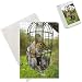 Photo Jigsaw Puzzle of Grey Squirrel trapped inside a squirrel proof bird feeder from Ardea Wildlife Pets