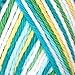 Lily Sugar 'n Cream Yarn Ombre (02223 Mod Ombre