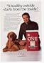 1992 Robert Urich Golden Retriever Purina One Dog Food Print Ad (5587)